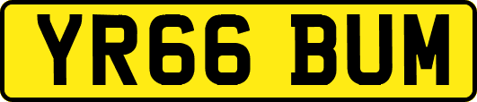 YR66BUM