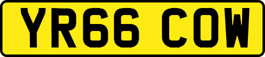 YR66COW
