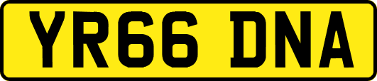 YR66DNA
