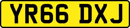 YR66DXJ