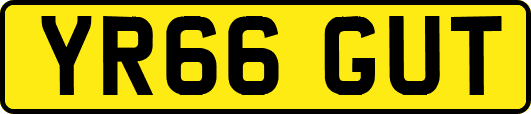 YR66GUT
