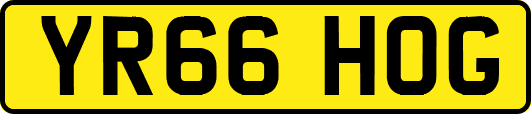 YR66HOG