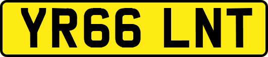 YR66LNT