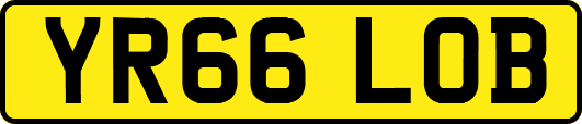 YR66LOB