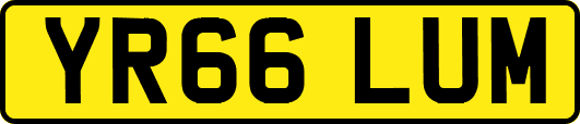 YR66LUM
