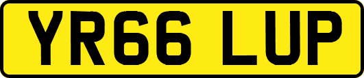 YR66LUP
