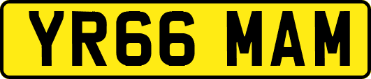 YR66MAM