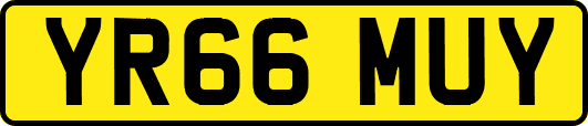 YR66MUY