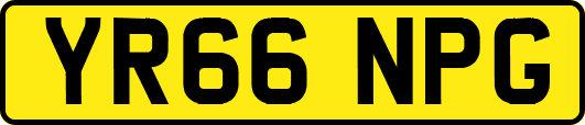 YR66NPG