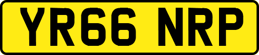 YR66NRP