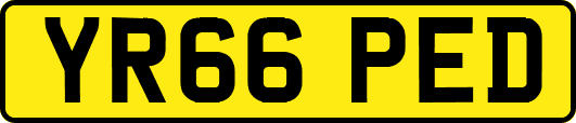 YR66PED