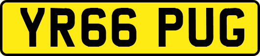 YR66PUG