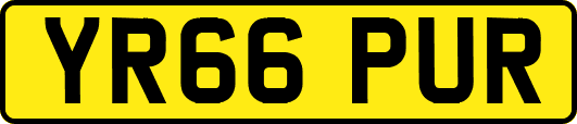 YR66PUR