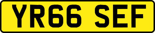 YR66SEF