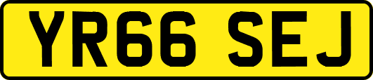 YR66SEJ