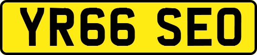 YR66SEO