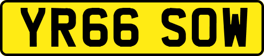 YR66SOW