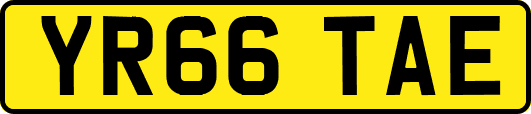 YR66TAE