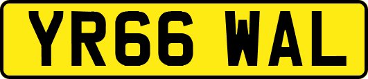 YR66WAL