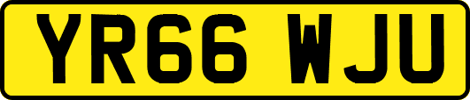 YR66WJU