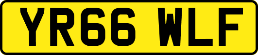 YR66WLF