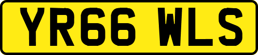 YR66WLS