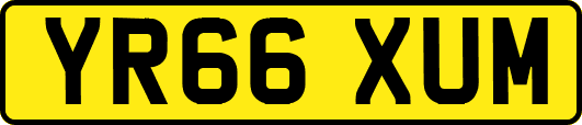 YR66XUM