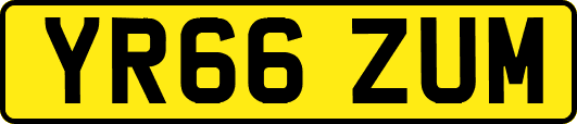 YR66ZUM