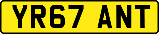 YR67ANT