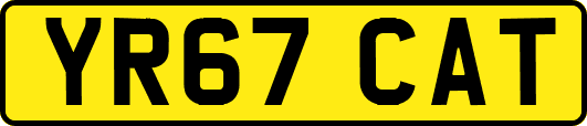 YR67CAT