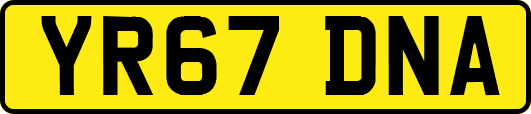 YR67DNA