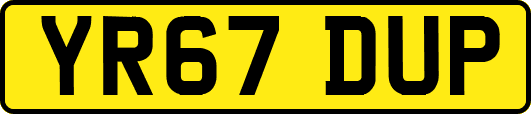 YR67DUP