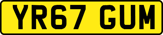 YR67GUM