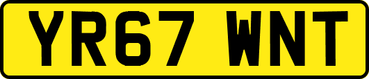 YR67WNT