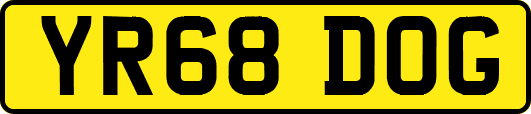 YR68DOG