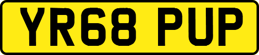 YR68PUP