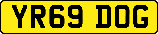 YR69DOG