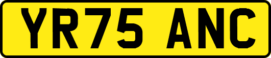YR75ANC