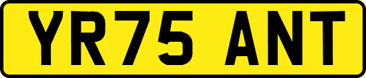 YR75ANT