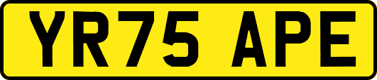 YR75APE