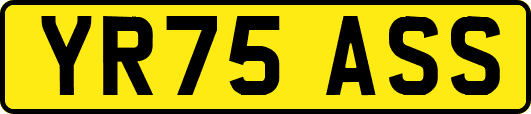 YR75ASS