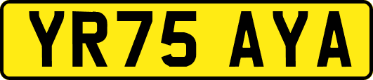 YR75AYA