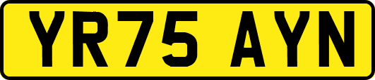YR75AYN