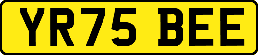 YR75BEE