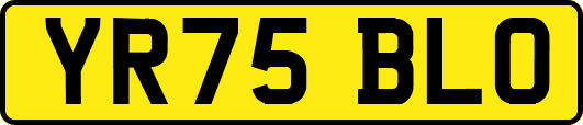 YR75BLO