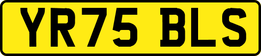 YR75BLS