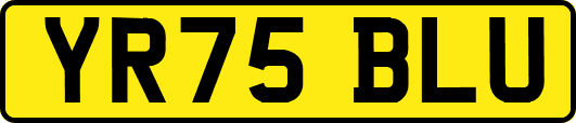 YR75BLU
