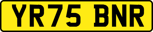YR75BNR