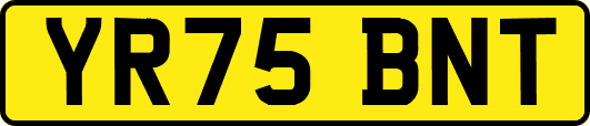 YR75BNT