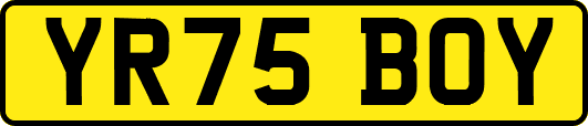 YR75BOY